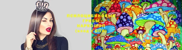 кокаин перу Новокубанск