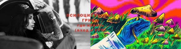 метадон Новозыбков