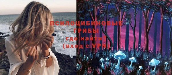 метадон Новозыбков